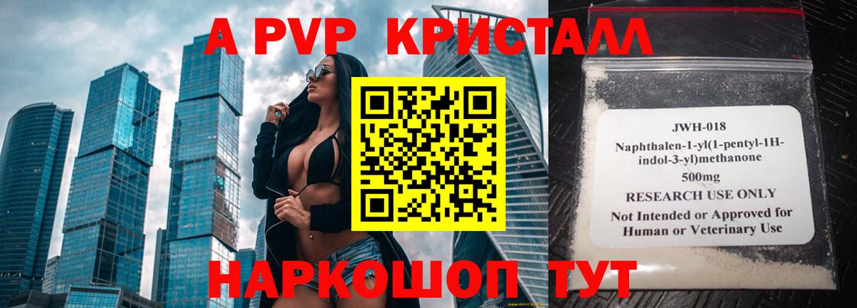 Alfa_PVP СК Королёв